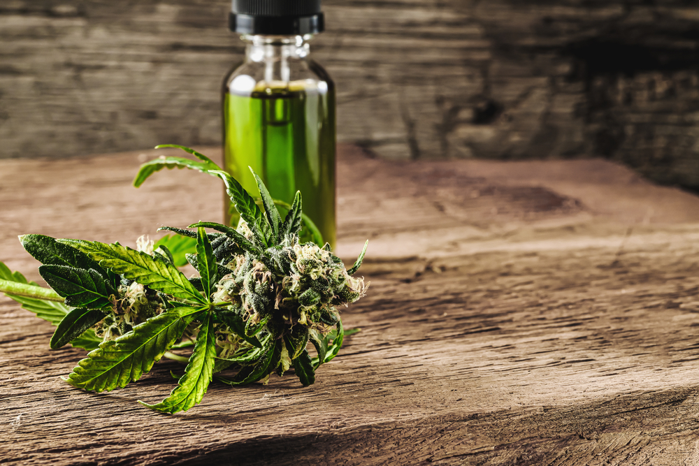 Best ways to take CBD Oil - My Florida Green