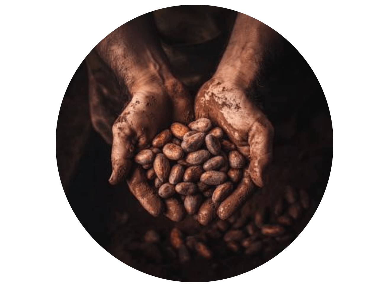 a person holding a handful of beans in their hands